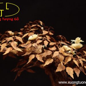 Cây ngà voi gỗ sưa