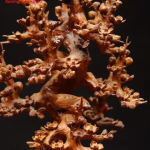 Bình mai gỗ hương.