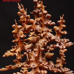 Bình mai gỗ hương.