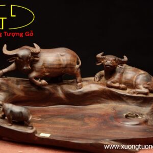 Khay trà trâu mẫu tử gỗ trắc