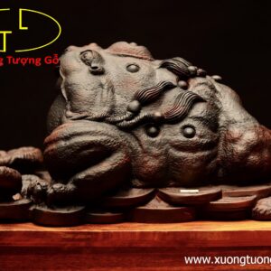 Thiềm thừ gỗ trắc đen