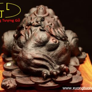 Thiềm thừ gỗ trắc đen