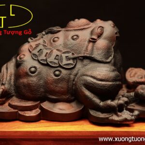 Thiềm thừ gỗ trắc đen