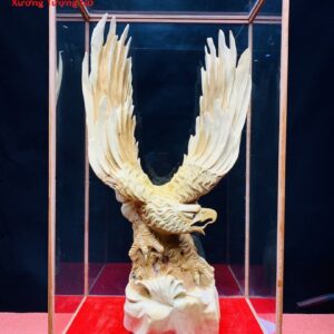 Đại bàng nhai bách