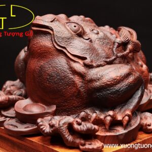 Thiềm thừ gỗ trắc đỏ.