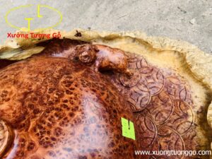 Chum nhị trư gỗ nu hương