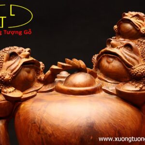 Tam cóc chấn chum tiền gỗ hương ta