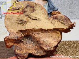 Long quy( Rùa đầu rồng) gỗ nu hương