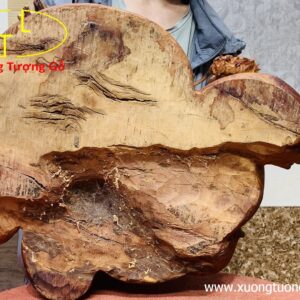 Long quy( Rùa đầu rồng) gỗ nu hương