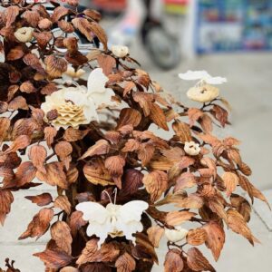 Bonsai cây gỗ sưa