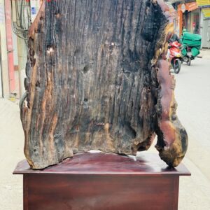 Thập Bát cá La Hán gỗ sun hương