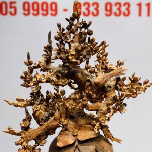 Bình mai gỗ sưa