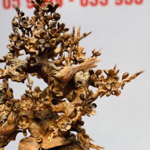 Bình mai gỗ sưa