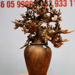 Bình mai gỗ sưa