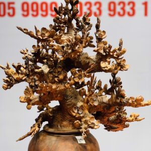 Bình mai gỗ sưa