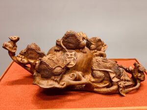 Ngũ cóc chấn chum gỗ sưa