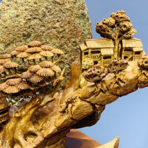 Tiểu cảnh(bonsai) ôm đá gỗ hương ta.