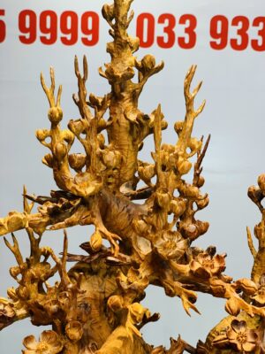 Bình mai gỗ hương ta.