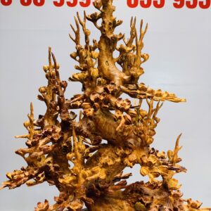 Bình mai gỗ hương ta.