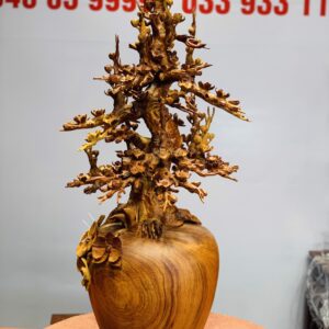 Bình mai hương ta
