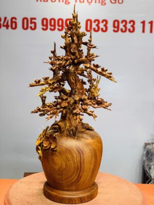 Bình mai hương ta