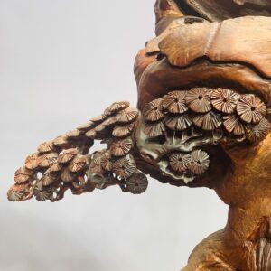 Cây tùng ôm đá gỗ hương.