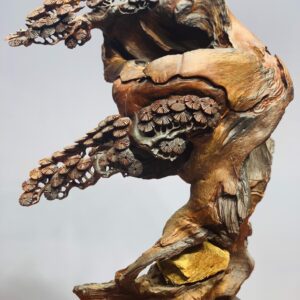 Cây tùng ôm đá gỗ hương.