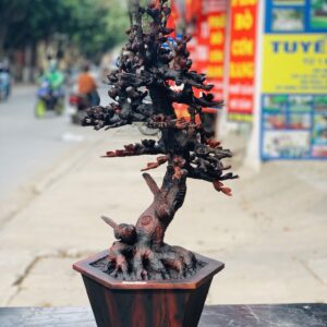 Bình hoa mai gỗ trắc.