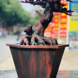 Bình hoa mai gỗ trắc.