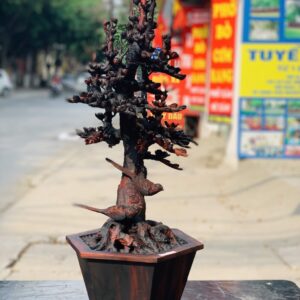 Bình hoa mai gỗ trắc.