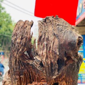 Đạt ma ngồi thiền tùng hương