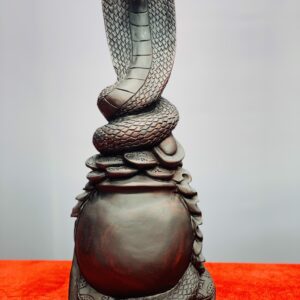 Rắn gỗ trắc.
