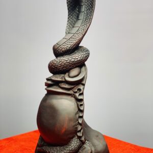 Rắn gỗ trắc.