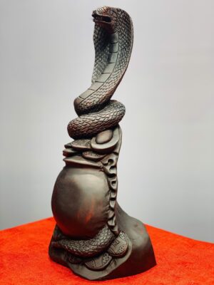 Rắn gỗ trắc.