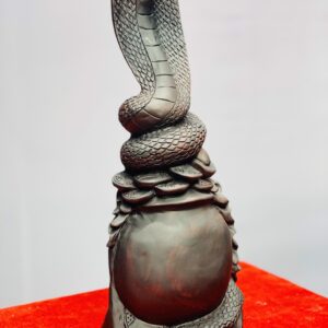 Rắn gỗ trắc.