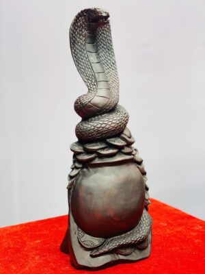 Rắn gỗ trắc.