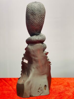 Rắn gỗ trắc.