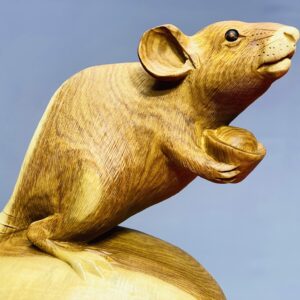 Chuột trấn bao hương.
