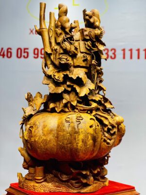 Giàn bí sóc nu hương.