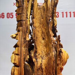 Giàn bí sóc nu hương.