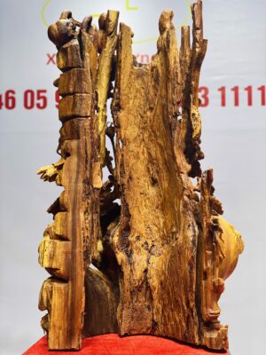 Giàn bí sóc nu hương.