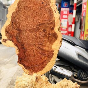 Vách Di Lặc chúc phúc nu hương.