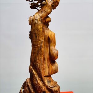 Khổng Minh đứng tùng gỗ sưa.
