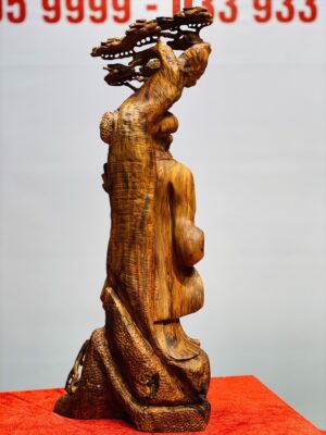 Khổng Minh đứng tùng gỗ sưa.