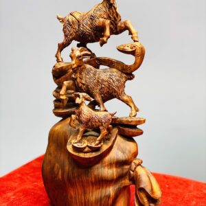 Tam dương gậy như ý sưa _ Mã sp: TLV561