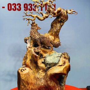 Chó sói gỗ sụn hương