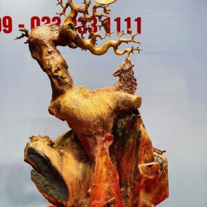 Chó sói gỗ sụn hương