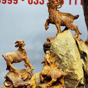 Tam dương đứng tùng hương