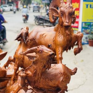 Tam dương đứng bao tiền.