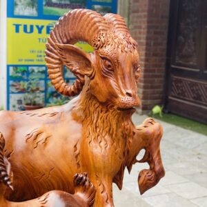 Tam dương đứng bao tiền.